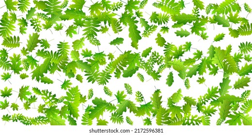 Tree leaves vibrant vector illustration. Herbarium tree foliage closeup. Rowan and maple leaves isolated. Botanical organic background. Agriculture subtle vector.