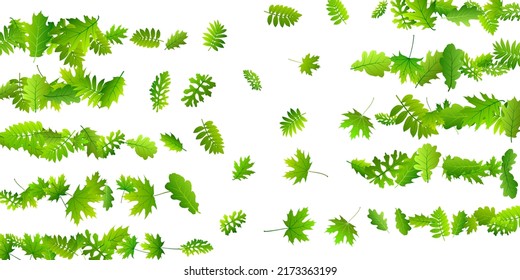 Tree leaves vivid vector backdrop. Wild tree foliage macro. Rowan and maple leaves composition. Herbal organic concept. Wild nature subtle vector.