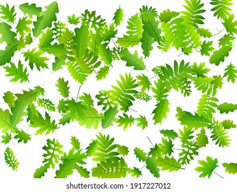 Tree leaves vivid vector composition. Herbarium tree foliage closeup. Rowan and oak leaves pattern. Herbal natural wallpaper. Wild nature rustic backdrop.