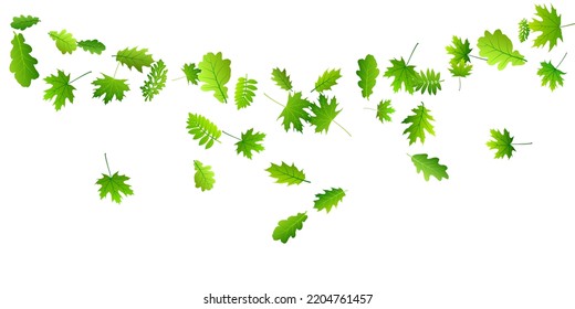 Tree leaves vivid vector illustration. Realistic tree foliage closeup. Oak and maple leaves flying. Herbal organic background. Agriculture vibrant vector.