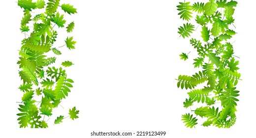 Tree leaves vivid vector wallpaper. Herbarium tree foliage closeup. Mix of many different leaves pattern. Herbal organic concept. Wild nature lush backdrop.