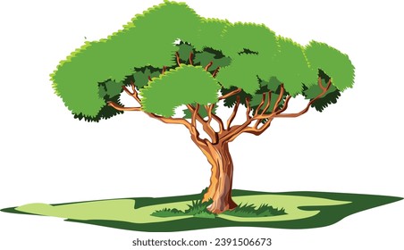 tree with leaves,tree, nature, landscape, summer, vector, grass, sky, leaf, illustration, spring, plant, season, field, meadow, forest, environment, garden, hill, design, cartoon, flower, branch, sun,