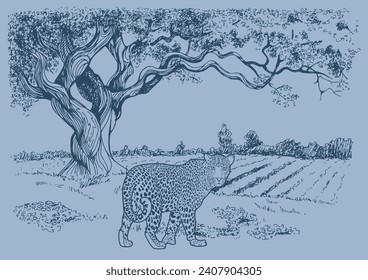 Tree and  leopard. Vintage line drawing or engraving illustration.