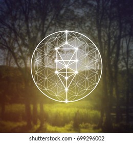 Tree of life ancient symbol with flower of life sacred geometry pattern in front of blurry vector photo background.