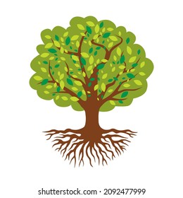 Tree of Life. Beautiful sprawling tree with big roots. Symbol of life and family. Icon, clipart for website, applications about family, ancestors, traditions. Vector flat illustration, cartoon style.