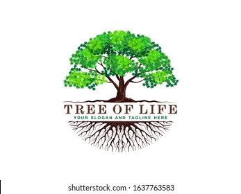 Tree of life creative logo template, vector isolated on white