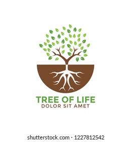 Tree of life graphic design template vector