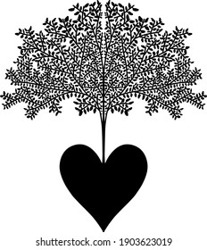 Tree of Life Hand Drawn Design Vector