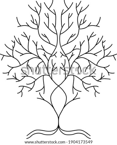 Tree of Life Hand Drawn Design Vector
