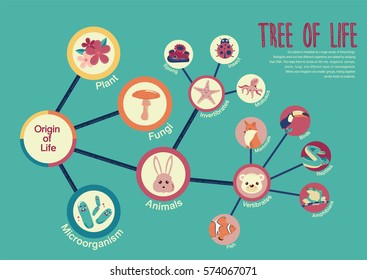 Tree of life info-graphic vector illustration