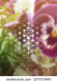 Tree of life - the interlocking circles ancient symbol. Sacred geometry. Mathematics, nature, and spirituality in the world. Self-knowledge in meditation. 
