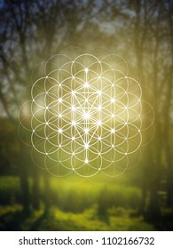 Tree of life - the interlocking circles ancient symbol. Sacred geometry. Mathematics, nature, and spirituality in the world. Self-knowledge in meditation. 
