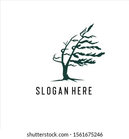 Tree of Life,  leaf and root seal emblem stamp logo design inspiration