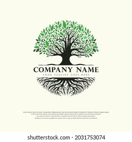 Tree of life logo abstract vector illustration template design on white background