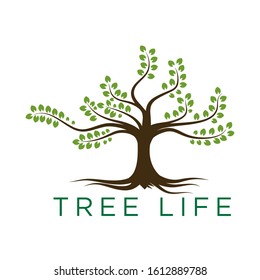 diseño ecológico del logotipo de vida de árbol