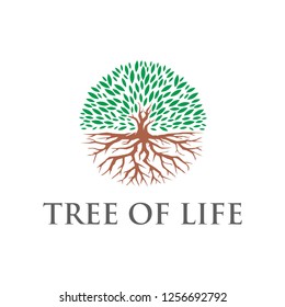 Tree of life logo design inspiration