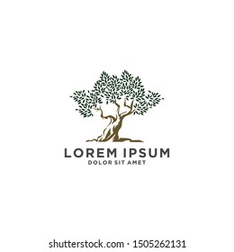Tree of life logo design inspiration isolated on white background