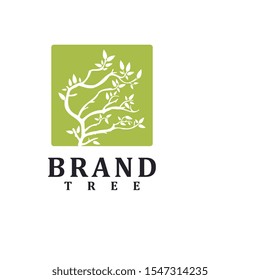 Tree of life logo design inspiration isolated, vector