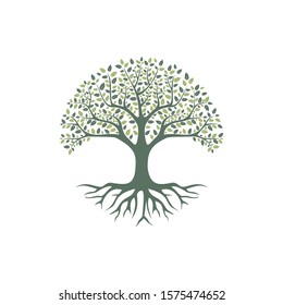  Tree of life logo design inspiration isolated on white background