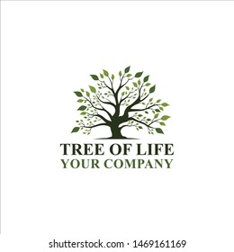 Tree of Life logo design roots inspiration