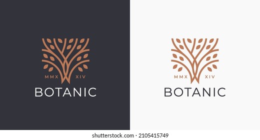 Tree of Life logo icon. Abstract nature branch with leaves business sign. Square garden plant natural line symbol. Vector illustration. svg
