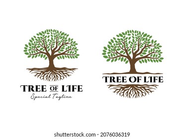 Tree of life logo illustration design template inspiration