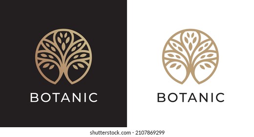 Tree of Life logo line icon. Abstract nature branch leaves symbol. Garden plant botanical eco sign. Vector illustration.