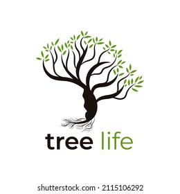 Tree life logo template vector