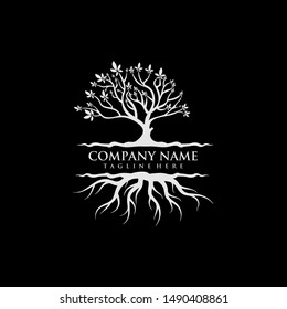 Tree of Life, oak banyan leaf and root seal emblem stamp logo design inspiration