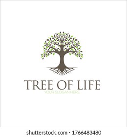 Tree of Life, oak banyan leaf and root seal emblem stamp logo design inspiration