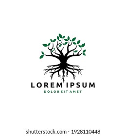 Inspiración en el diseño del logotipo de sello de sellos raíz y hoja de roble de Banyan