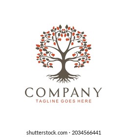 Tree of Life, oak banyan leaf and root seal emblem stamp logo