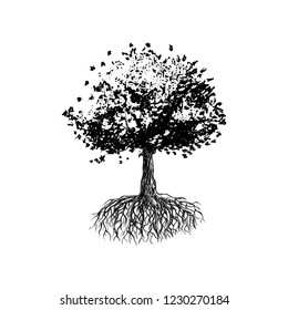 Tree of Life, Oak Tree Hand Drawn