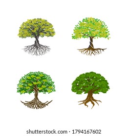 Tree of Life or Tree and roots with round shape, vector illustration set.