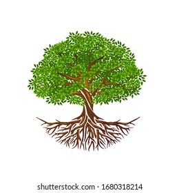 Tree of Life or Tree and roots vector isolated, tree with round shape