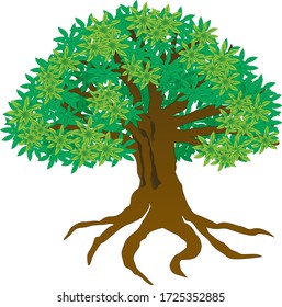 Tree of Life or Tree and roots vector isolated, Tree with Green Leaves. Vector Illustration.