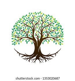 Tree Of Life Or Tree And Roots Vector With Round Shape.