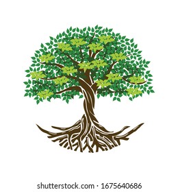 Tree of Life or Tree and roots vector with round shape.