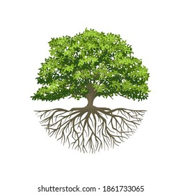 Tree of Life or Tree and roots vector with round shape.