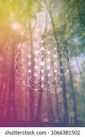 Tree of life sacred geometry kabbalah symbol in front of repeating interlocking circles pattern and blurry photo background.