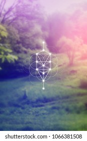 Tree of life sacred geometry kabbalah symbol in front of repeating interlocking circles pattern and blurry photo background.