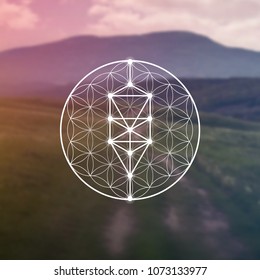 Tree of life sacred geometry kabbalah symbol in front of repeating interlocking circles pattern and blurry photo background.
