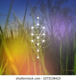 Tree of life sacred geometry kabbalah symbol in front of repeating interlocking circles pattern and blurry photo background.