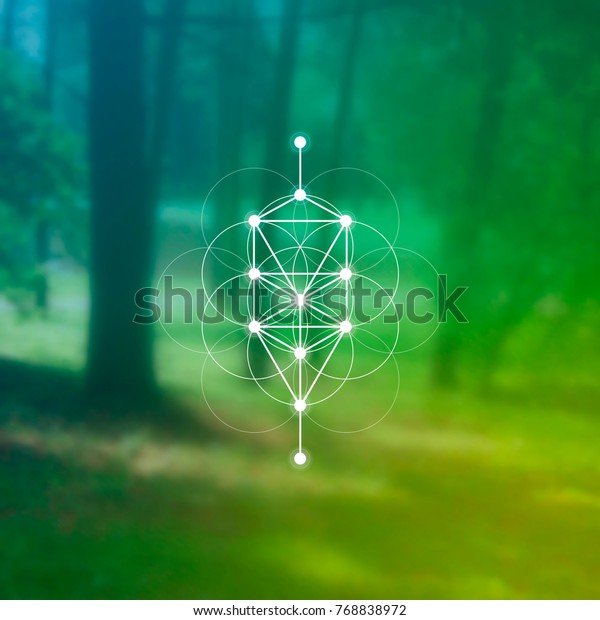 Baum Des Lebens Heilige Geometrie Kabbalah Stock Vektorgrafik Lizenzfrei