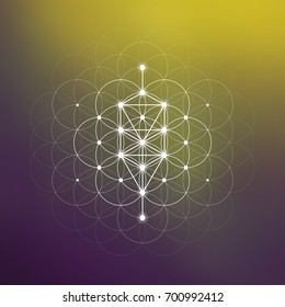 Tree of life sacred geometry symbol in front of repeating interlocking circles pattern and blurry background.