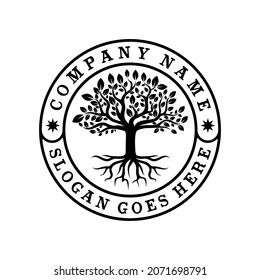 Tree of Life Seal Emblem Oak Family root Maple Stamp logo design vector