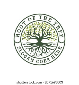 Tree of Life Seal Emblem Oak Family root Maple Stamp logo design vector