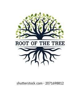 Tree of Life Seal Emblem Oak Family root Maple Stamp logo design vector