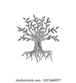 Tree life vector illustration and hand drawing style