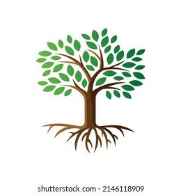 Tree of life vector logo design inspiration full color isolated on white background